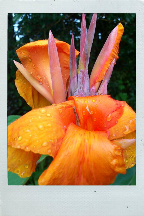 androidapp/618110814182429-677458498.png