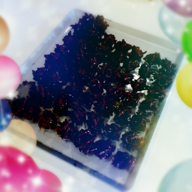 2013-01-31_11_16_20.jpg
