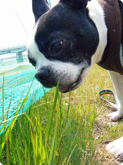 DSCF8091.jpg
