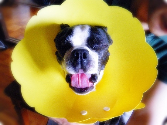 DSCF8150.jpg