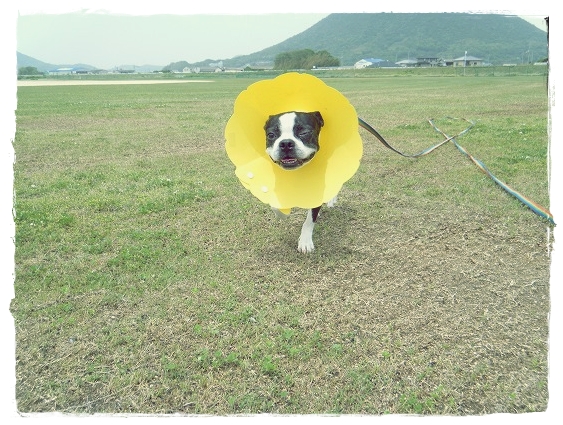 DSCF8165.jpg