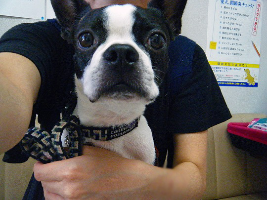 DSCF9203.jpg