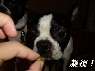 IMGP3024.jpg