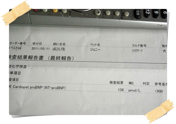IMGP3201.jpg