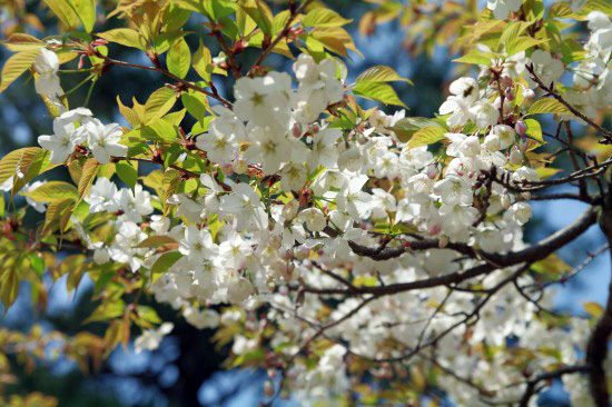 IMGP5719_edited-1.jpg