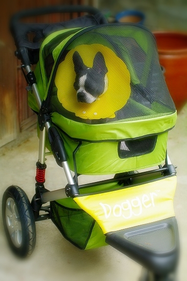 IMGP6174.jpg