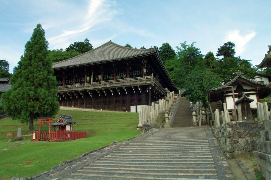IMGP6870.jpg