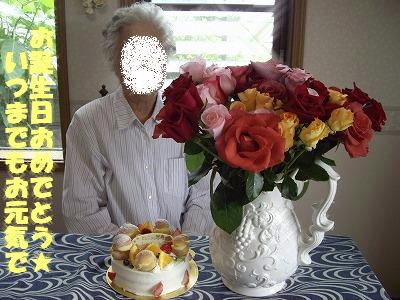 IMGP7050.jpg