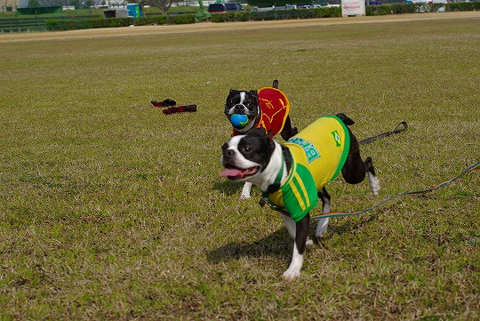 IMGP9396.jpg