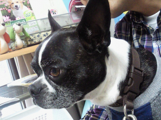 201010090944000.jpg