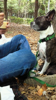 201104301248000.jpg