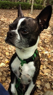 201104301249000.jpg