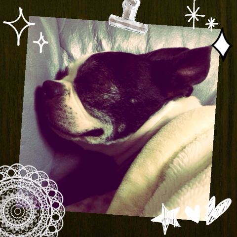 image-20131110211829.png