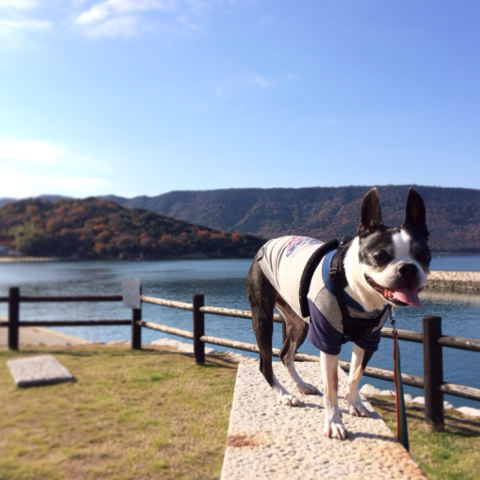 image-20131208172800.png