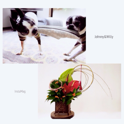 image-20131231174132.png