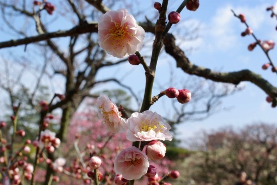 IMGP4878.jpg