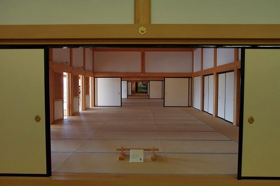 IMGP8993.jpg